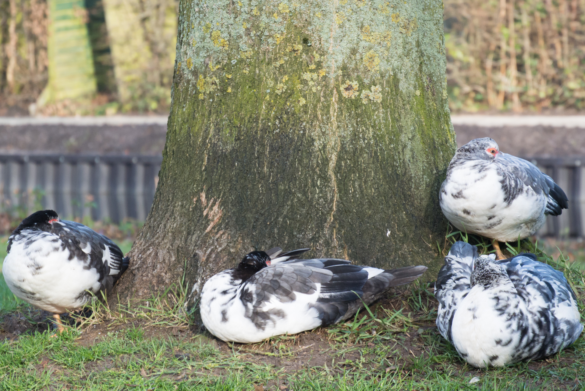 All huddled up