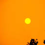 Smokey sun