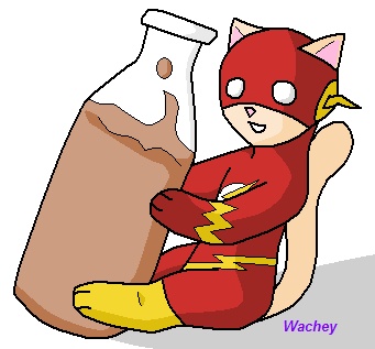 Flash-kitty