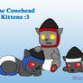 Conehead Kittens