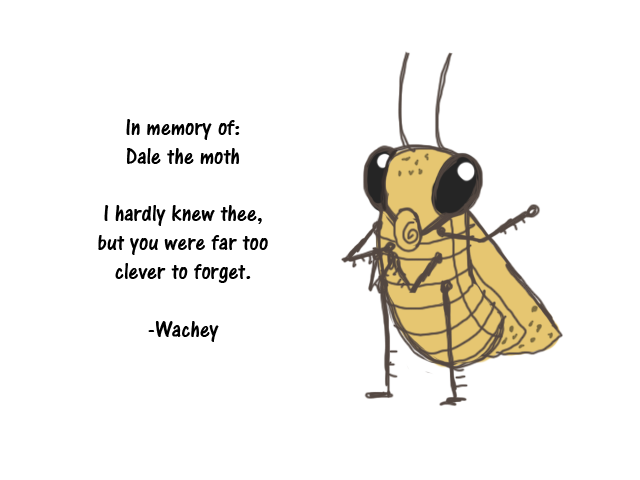 Dale The Moth