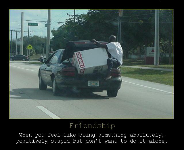 Demotivational - Friendship