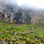 Asbyrgi Canyon
