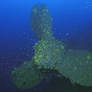 Britannic's port propeller