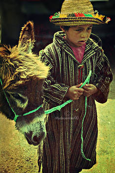 lil kid and his donkey