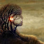 Head Visarbre 1600x800