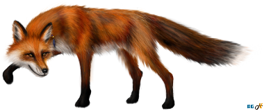 Kateri [mc121f] - Red Fox Form
