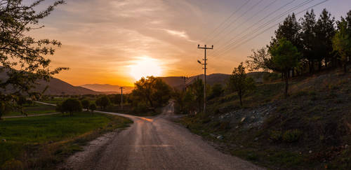 Path Home by T-20-A-20