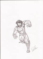 Wolverine