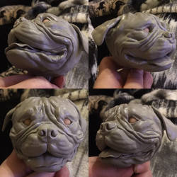 Bullmastiff bust in progress 