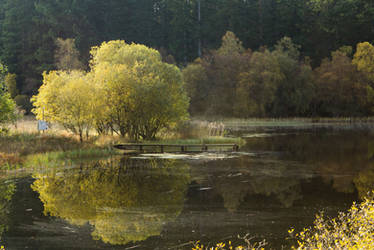 Autumn mood