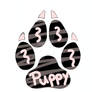 Paw Adopt