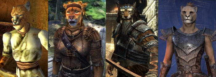 Elder Scrolls Khajiit Evolution