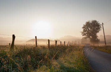 sunny road