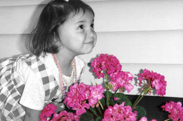 Among the Pink Geraniums