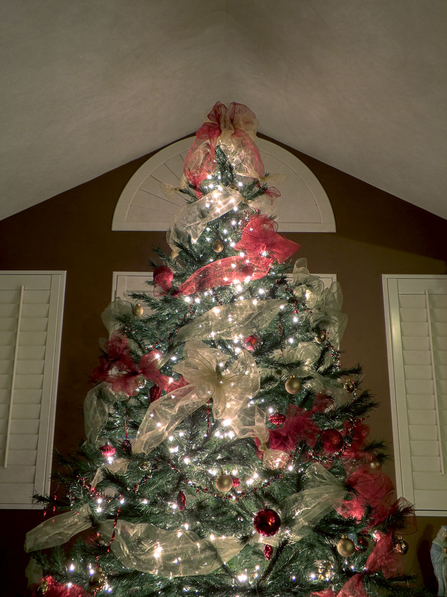 Christmas Tree HDR 2