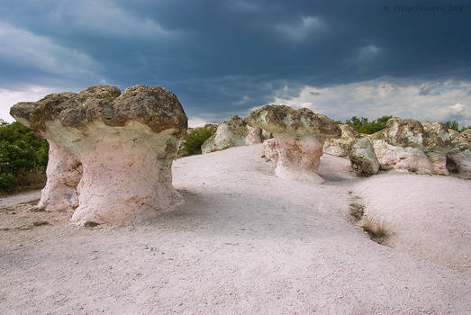 The Stone Mushrooms