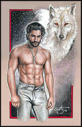 True Blood_Alcide Herveaux