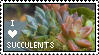 Succulent Stamp by Somniculosa