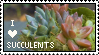 Succulent Stamp