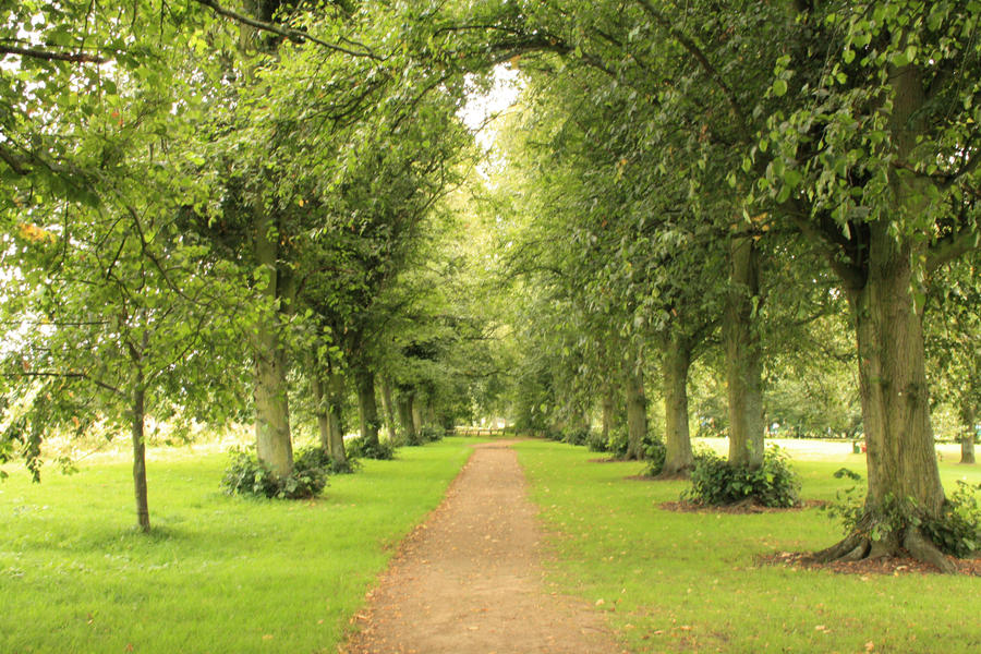 Lush Green