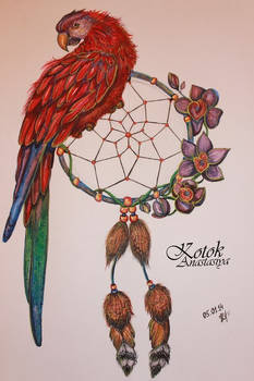parrot with dream catcher
