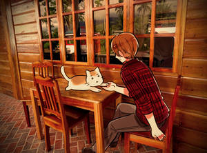 Kitty Cafe