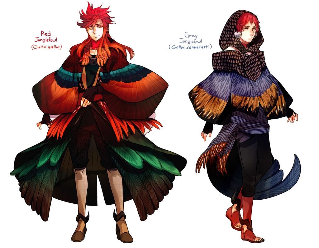 Plume Parade: Red Junglefowl and Grey Junglefowl