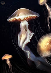 Sea Fairy