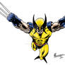 Savage Wolverine - classic