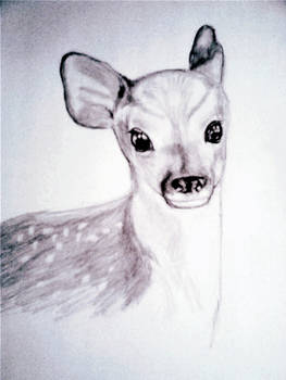 Bambi Art xd