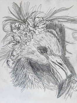 Working on Flamingos Quick Sketch