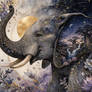 The Infinite Elephant and Garden of Her Memory