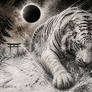 The White Guardian of the Black Sun