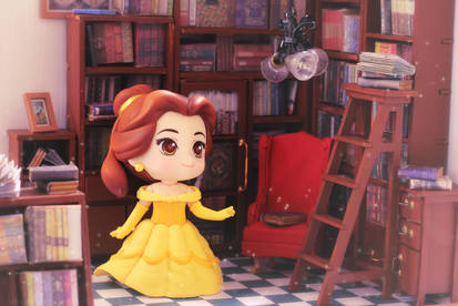 Belle's Library