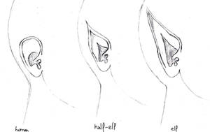 Ear study