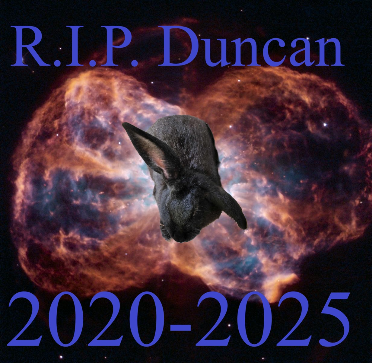 R.I.P. Duncan