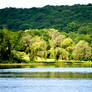 North Shore of Allamuchy Pond