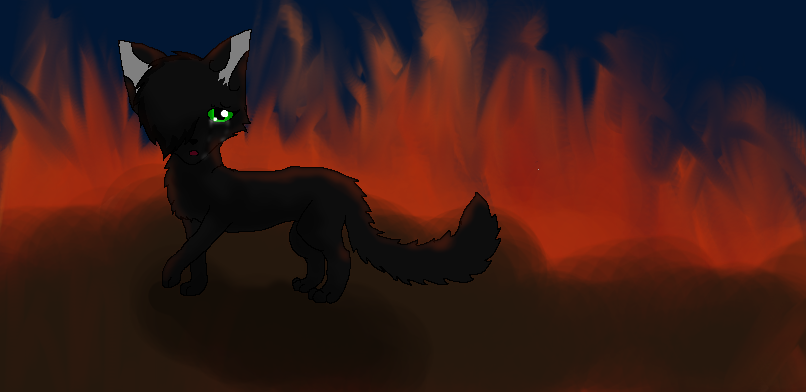 Hollyleaf's Sadness