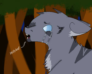 Jayfeather 'Don't go'