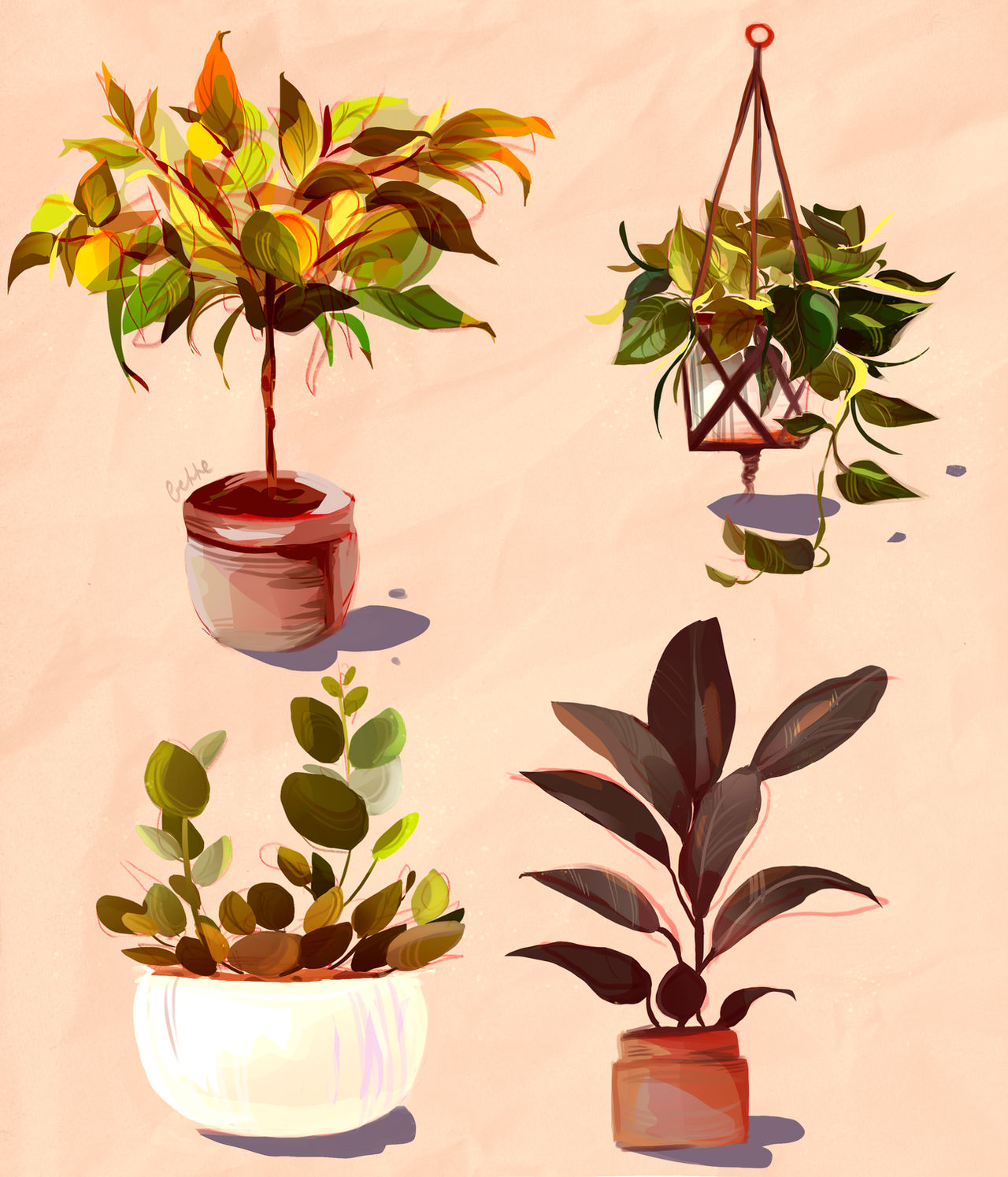 Plant Deviantart Plants copy by itterhorn on DeviantArt