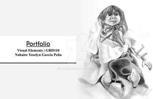 Portfolio Exam Introduction