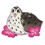 Quailsace Chibi