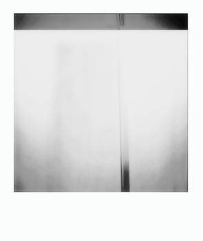 White Noise