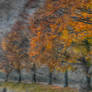 Chanson d'automne
