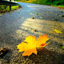 Les feuilles mortes - The Dead Leaves