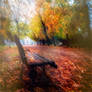 The Autumn Sun Dissolves the Fog