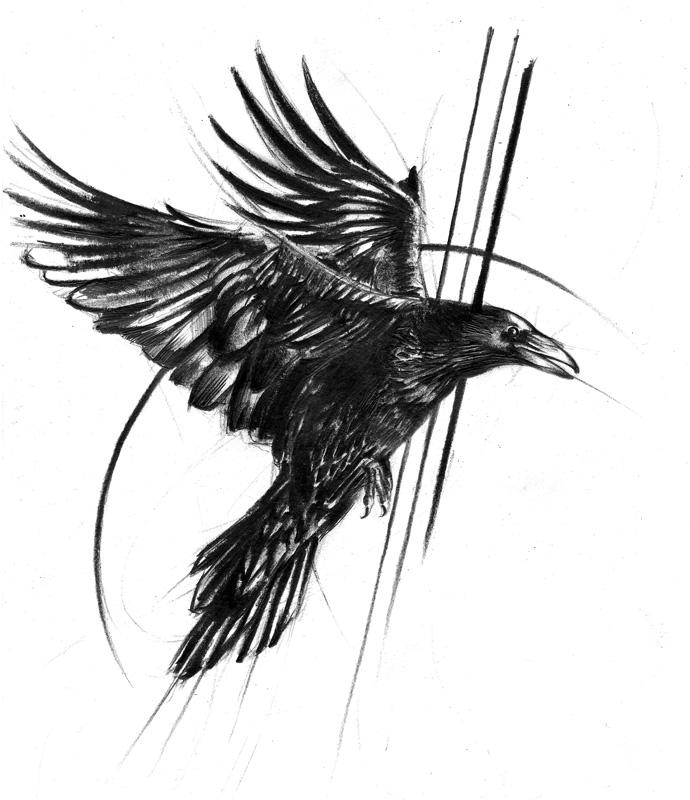 Raven study by LucianoPezzoli on DeviantArt