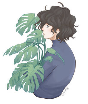 Monstera