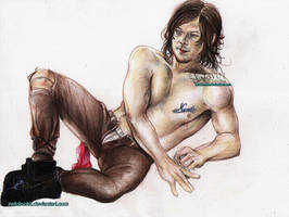 Norman  Reedus  - Mr Daryl Dixon